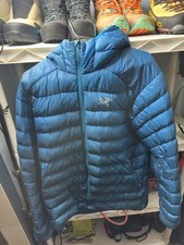 Arcteryx Men's Cerium LT Down